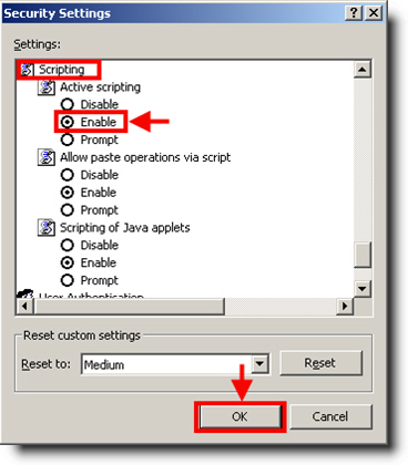 Verify your Javascript Setting (for Internet Explorer)